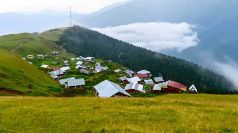 Trabzon en ünlü yaylaları! Hangi yaylaya gidilir? Neresi gezilir?